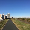 【今日の練習】1/31（朝） クルーズインターバル 2km×6本（4’00"～3’50"/km）
