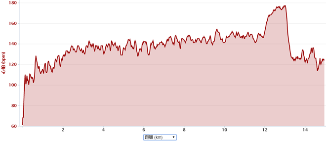 garmin-run-data-20150811-img-02