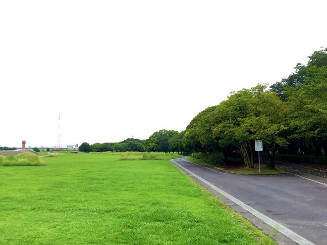庄内緑地サイクリングロードの写真